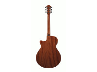 Ibanez AEG220-LGS Ibanez AEG220-LGS